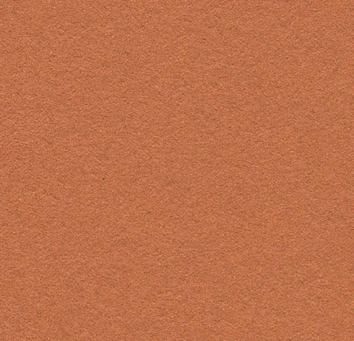 Cinnamon Bark 2207 Insert